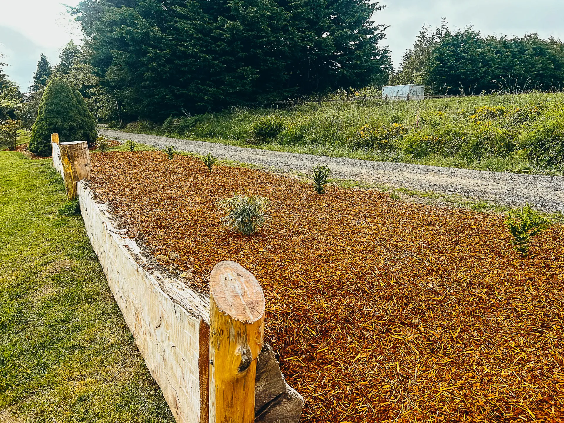 mulching olympic peninsula 