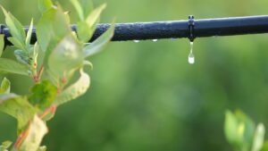 irrigation drip line