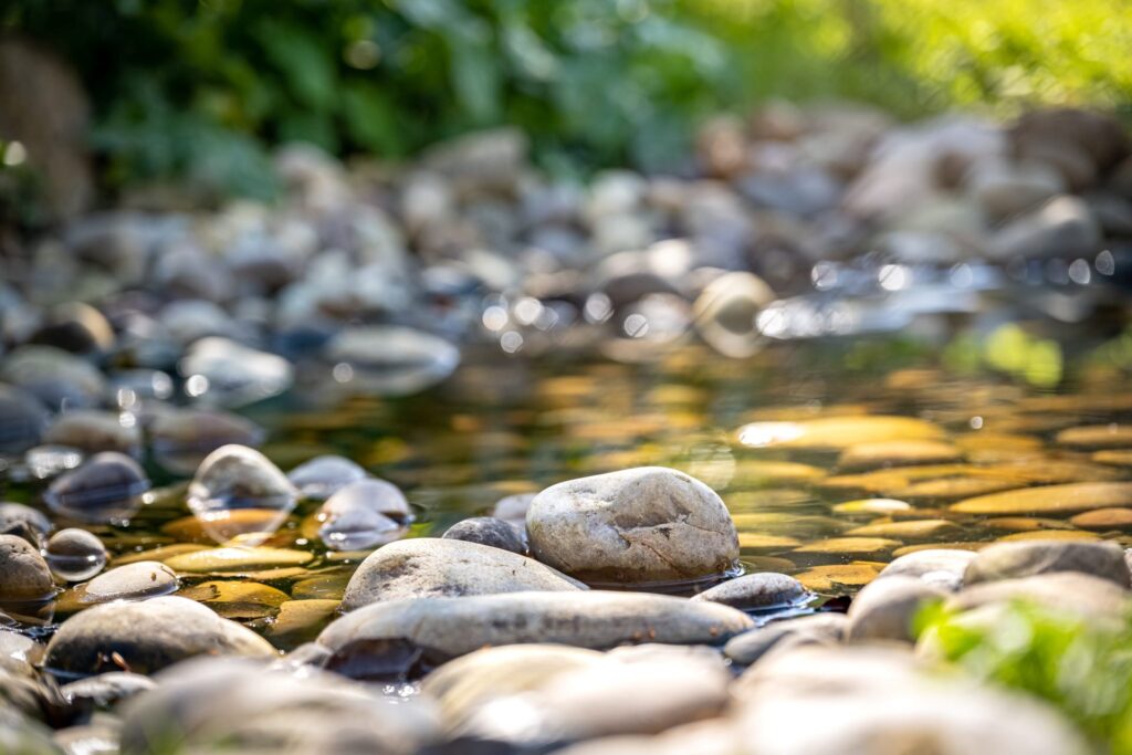 meandering riverbed