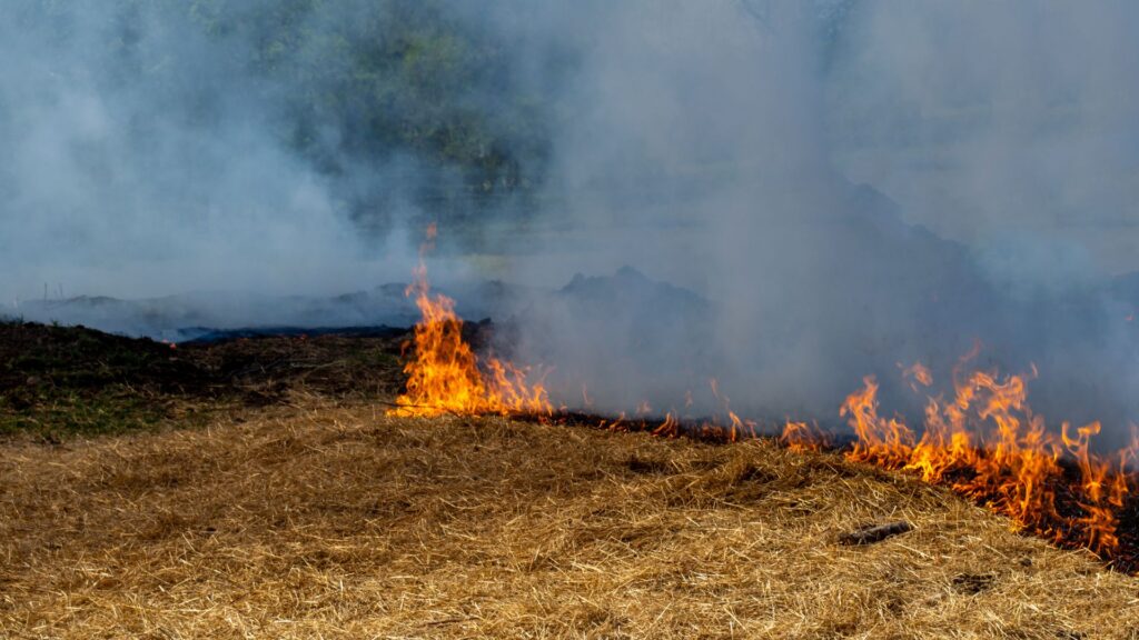 fire clallam county