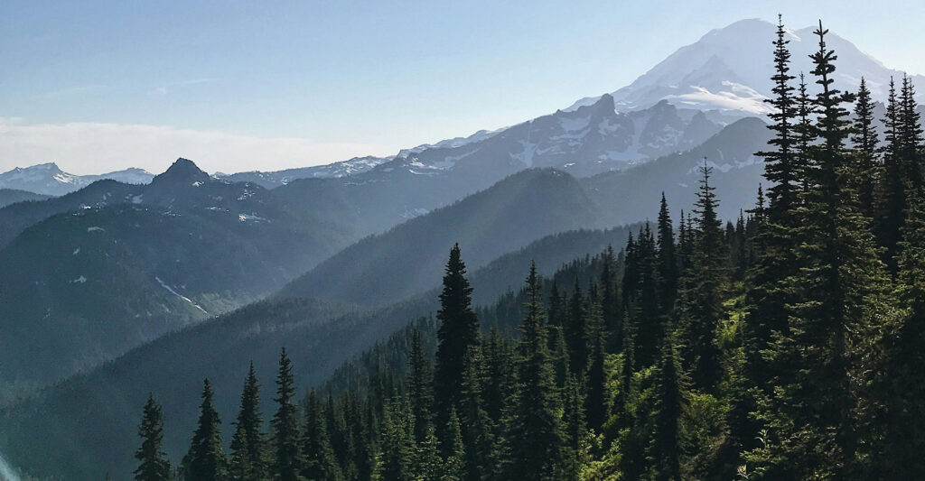 digum dirtworks port angeles washington