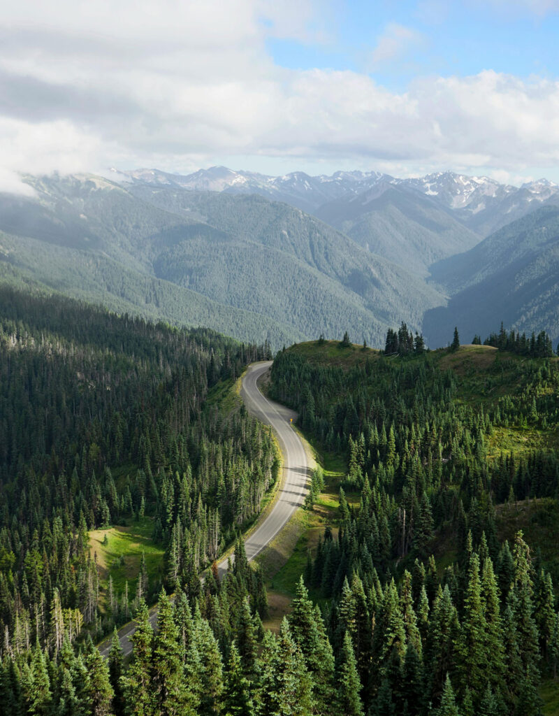 port angeles landscape