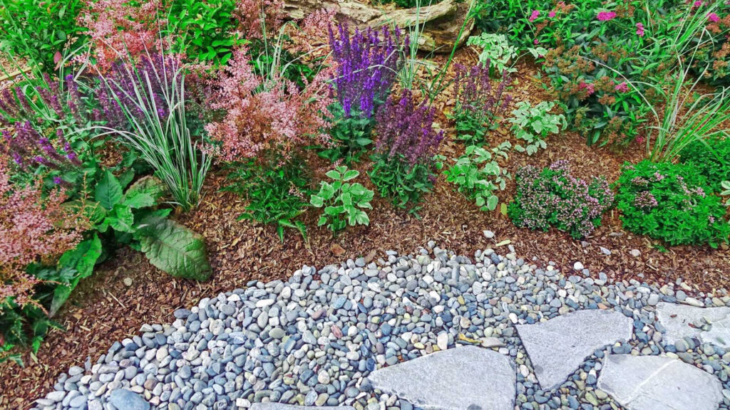 Why Drought Resistant Landscaping Is Important in Washington State