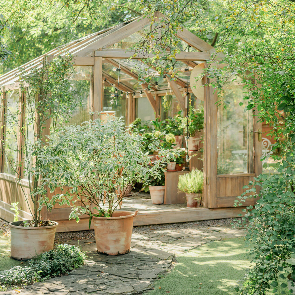 green house site prep